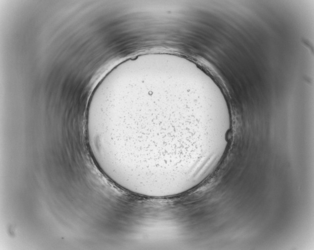 X0000101430860200807280959