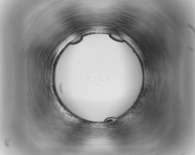 X0000101430861200807280959