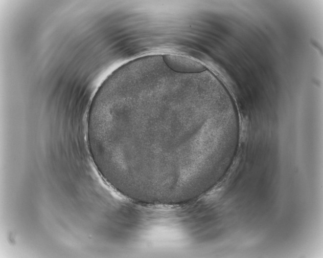 X0000101430862200807280959