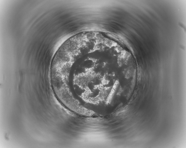 X0000101430863200807280959