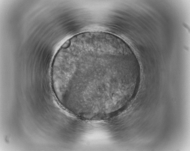 X0000101430864200807280959