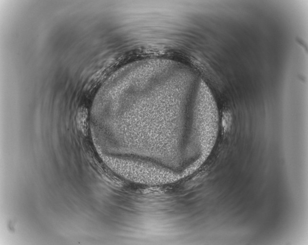 X0000101430867200807280958