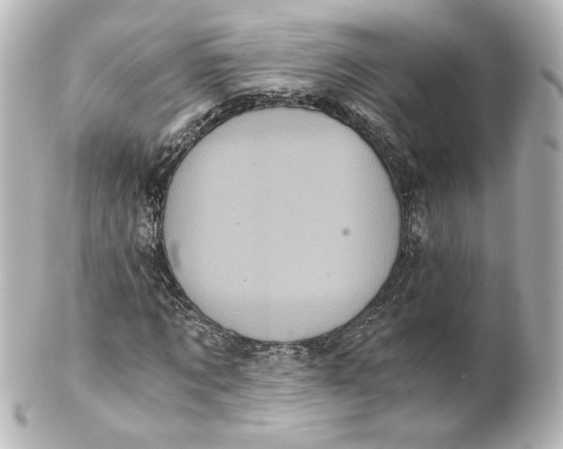 X0000101430869200807280958