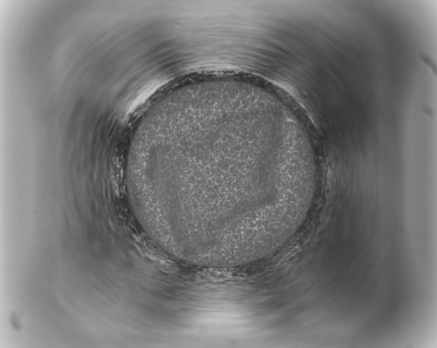 X0000101430871200807280958