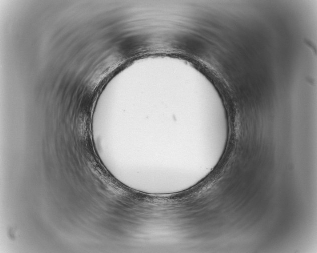 X0000101430873200807280958