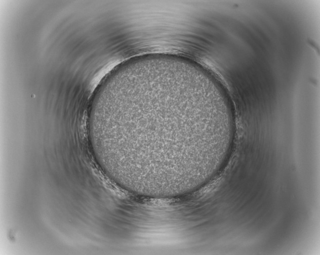 X0000101430875200807280958