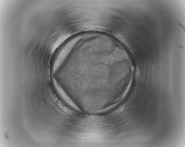 X0000101430877200807280958