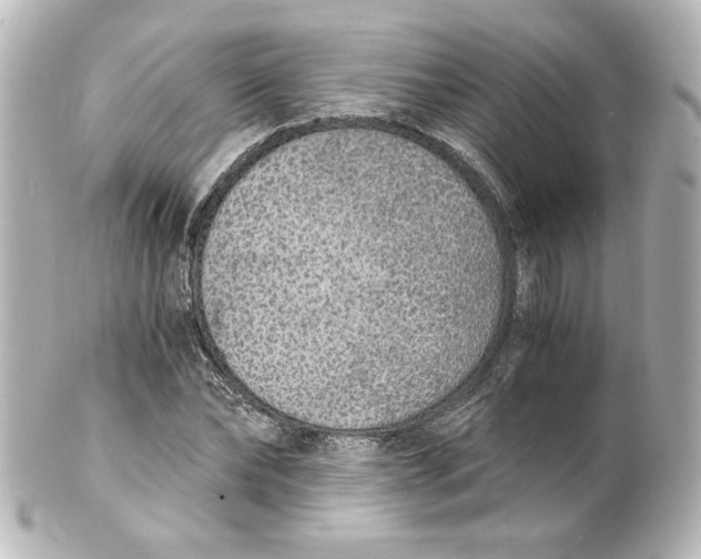 X0000101430878200807280958