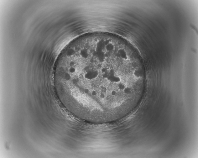 X0000101430879200807280958