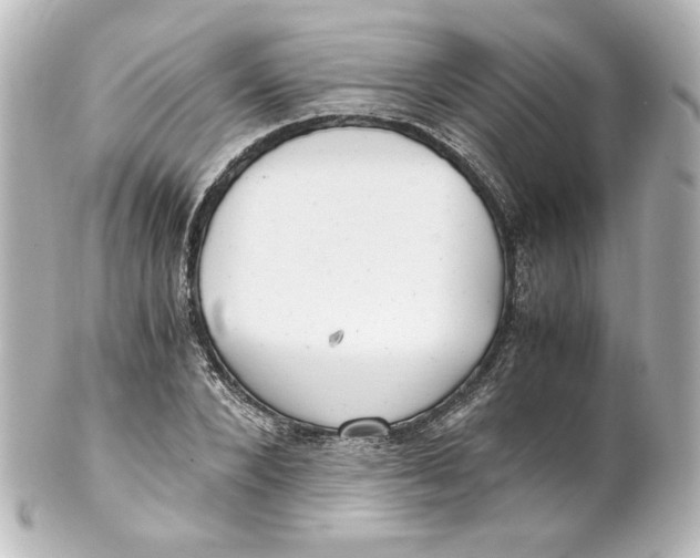 X0000101430880200807280958