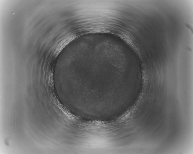 X0000101430881200807280958