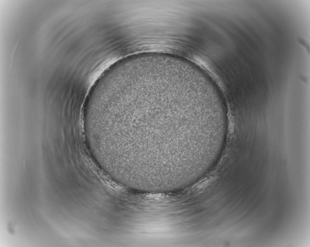 X0000101430883200807280958