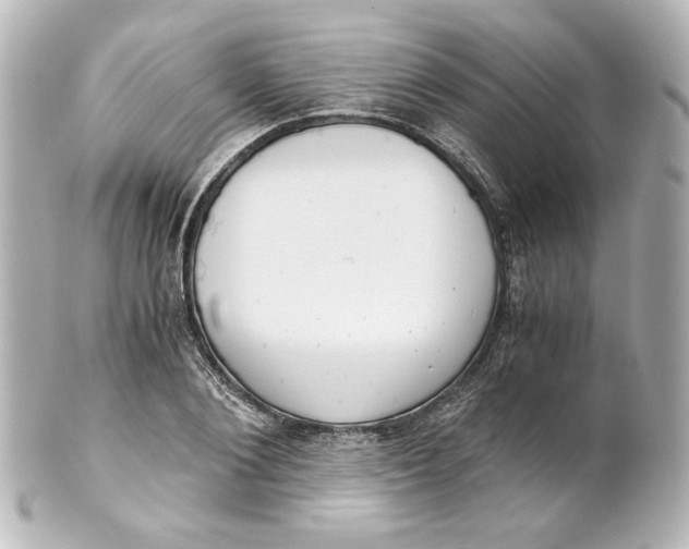 X0000101430884200807280958