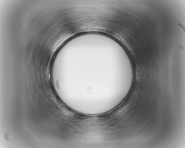 X0000101430885200807280958