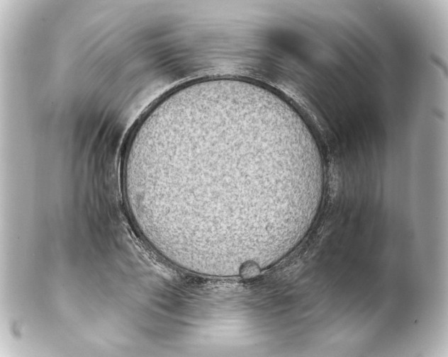 X0000101430886200807280958