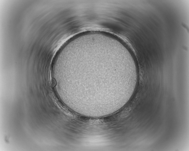 X0000101430887200807280958