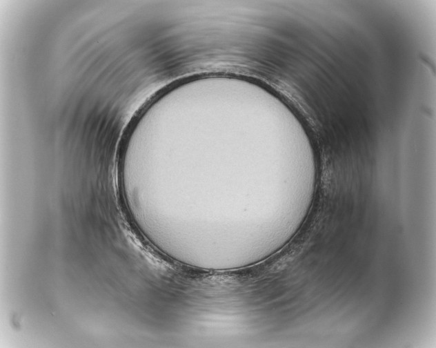 X0000101430888200807280958