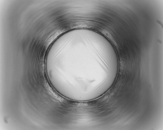 X0000101430890200807280958