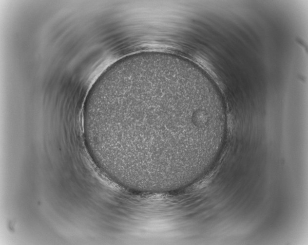 X0000101430891200807280958