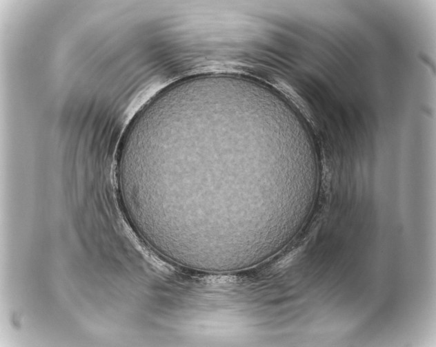 X0000101430893200807280958