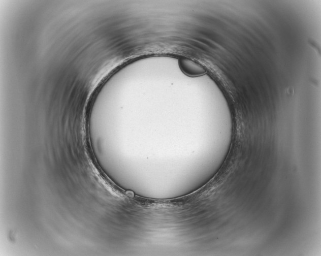 X0000101430894200807280958