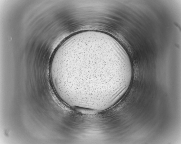 X0000101430896200807280958