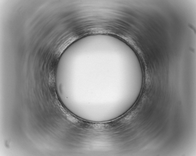 X0000101430897200807280958