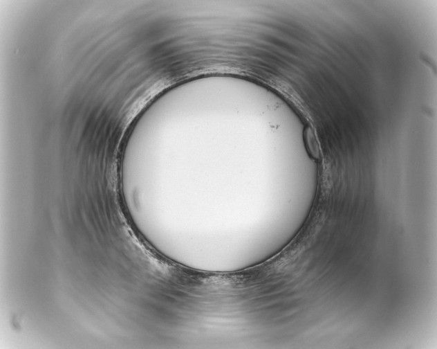 X0000101430898200807280958