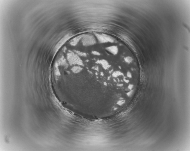 X0000101430899200807280958