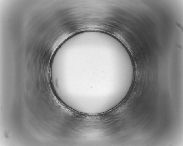 X0000101430901200807280958