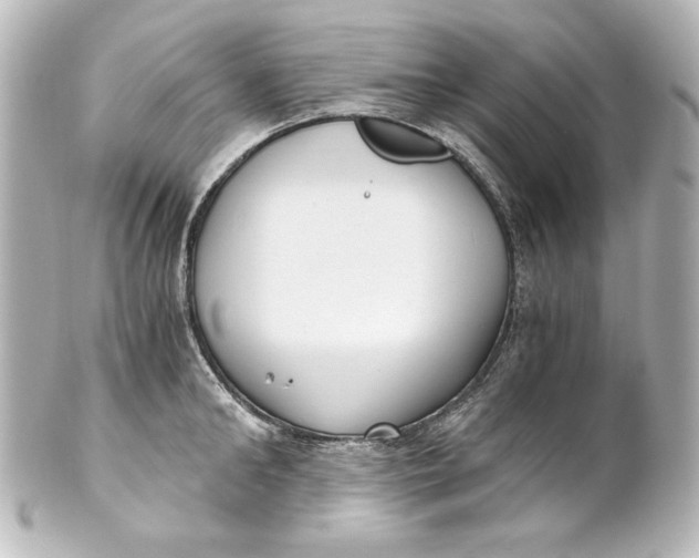 X0000101430902200807280958