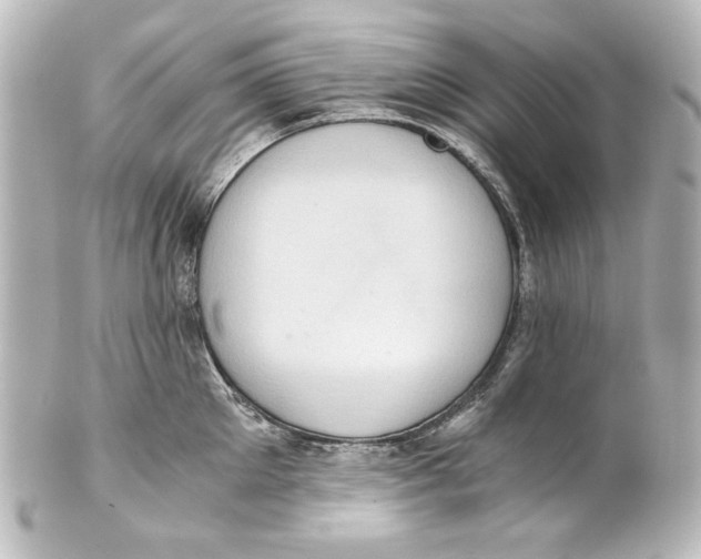 X0000101430905200807280958