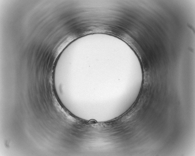 X0000101430906200807280958