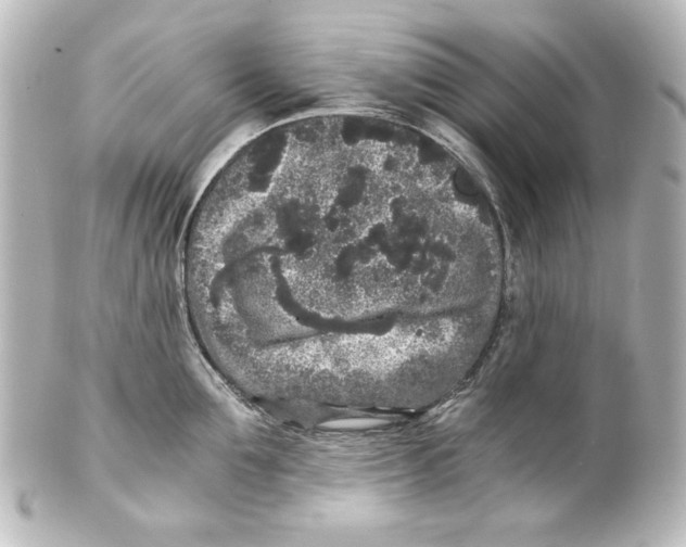 X0000101430907200807280958