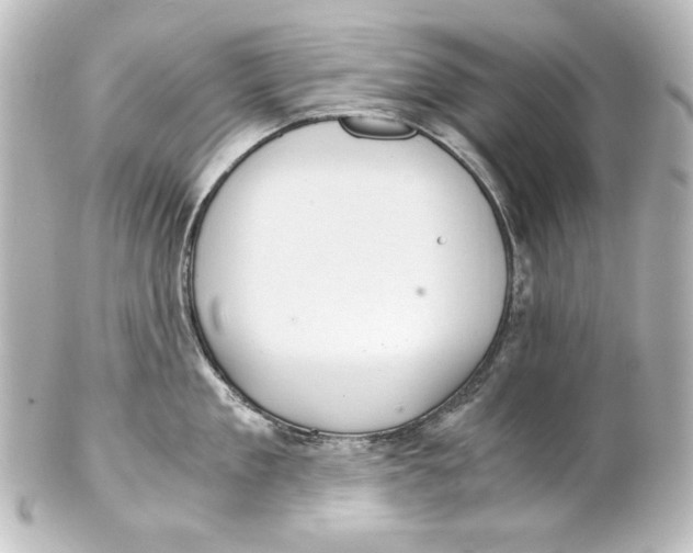 X0000101430909200807280958