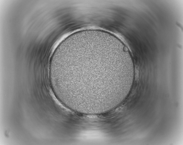 X0000101430911200807280958