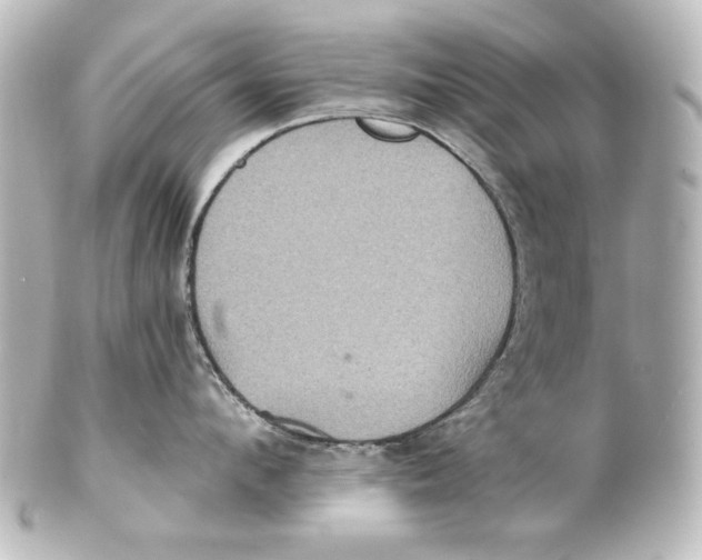 X0000101430912200807280958