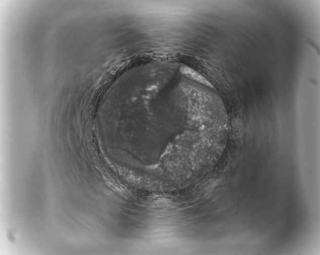 X0000101430913200807280957