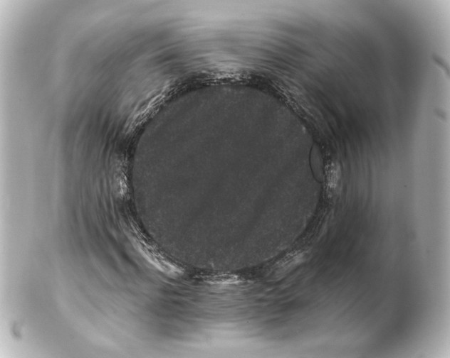 X0000101430916200807280957