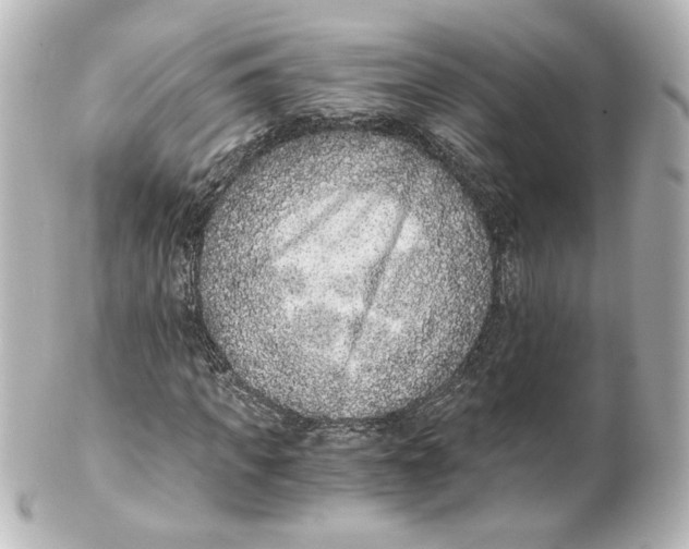 X0000101430917200807280957