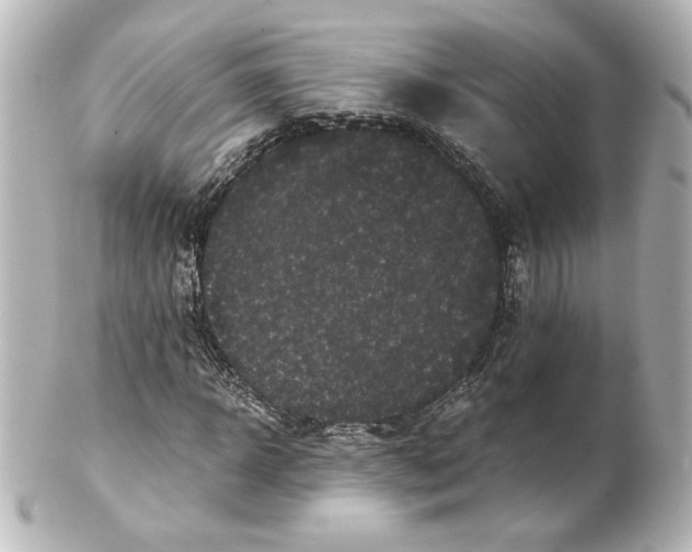 X0000101430918200807280957