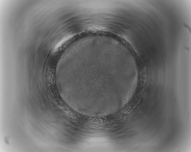 X0000101430919200807280957