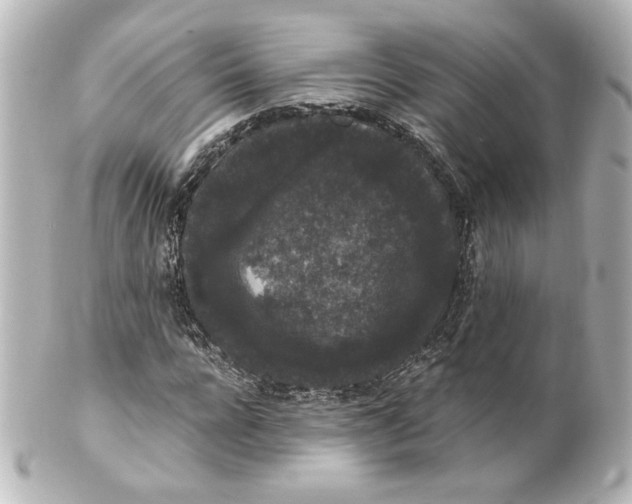 X0000101430920200807280957