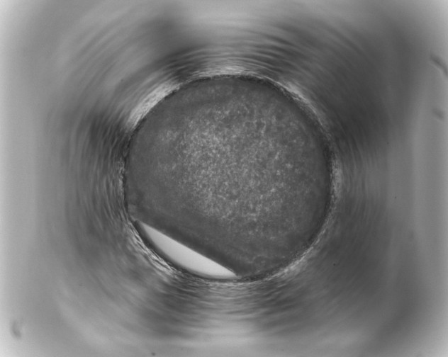 X0000101430921200807280957