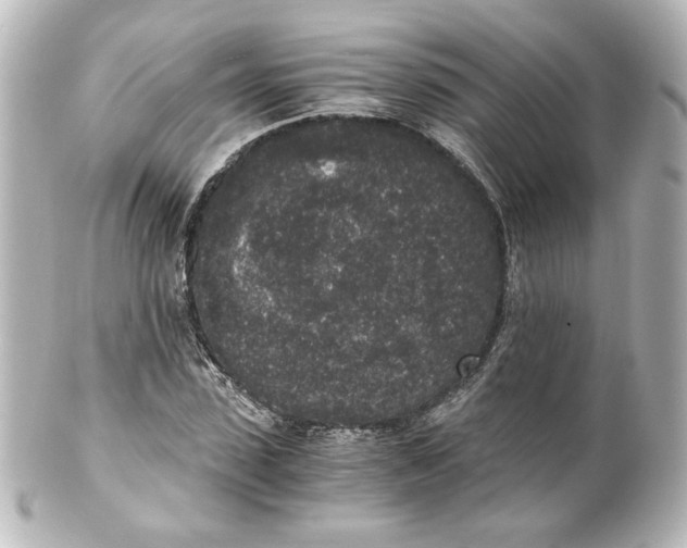 X0000101430923200807280957