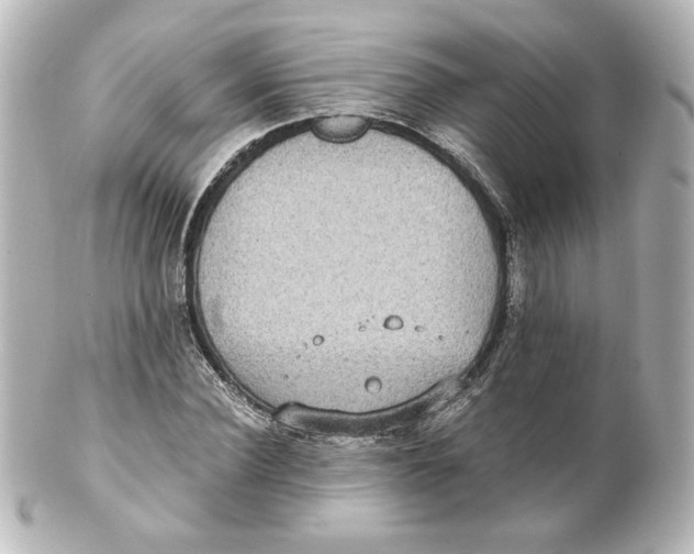 X0000101430924200807280957