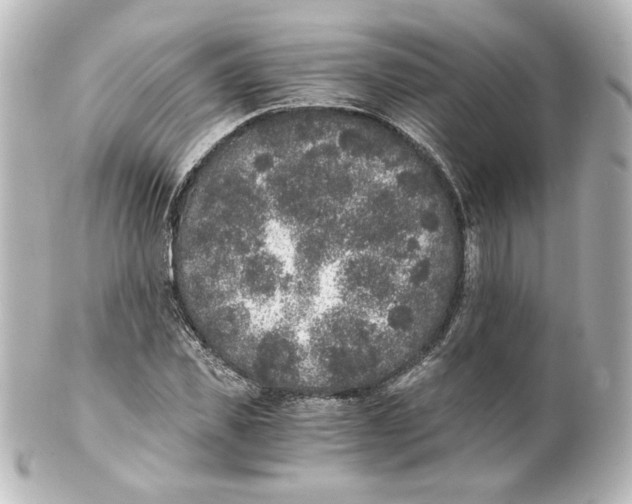 X0000101430925200807280957