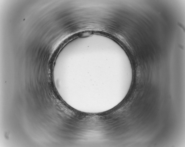 X0000101430926200807280957