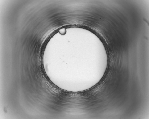 X0000101430927200807280957