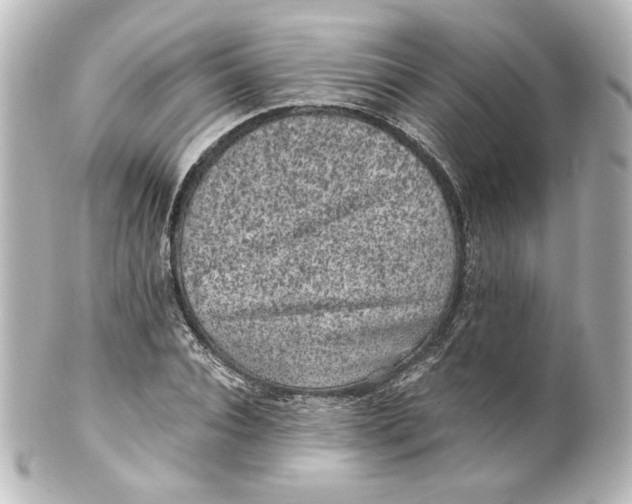 X0000101430928200807280957